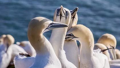 stake.com-“浙江广厦篮球俱乐部荣获浙江省首个CBA总冠军”——被写入浙江省政府工作报告